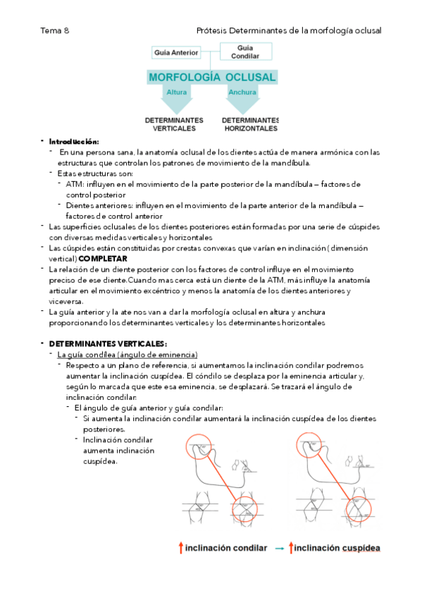 Miniatura del documento Tema-8-Determinantes-de-la-morfologia-oclusal.pdf