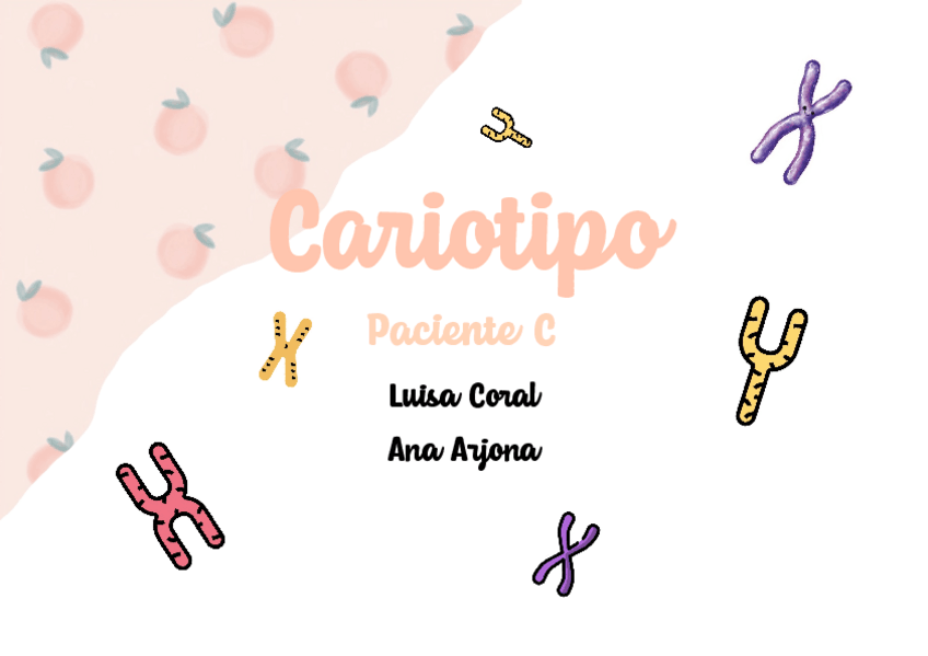 Miniatura del documento Cariotipo.pdf