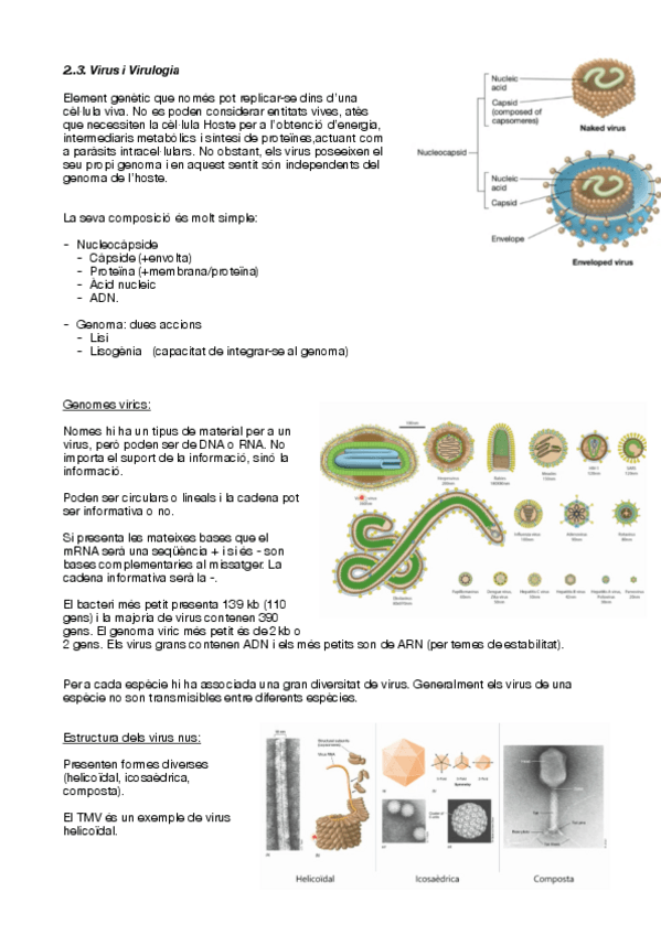 Miniatura del documento 2.pdf