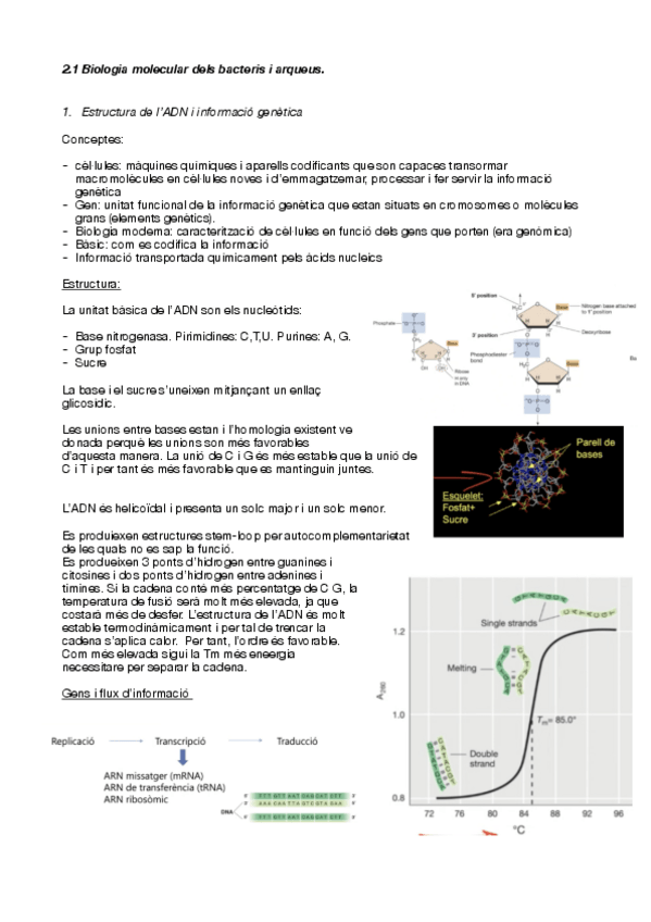 Miniatura del documento MIC-2.pdf