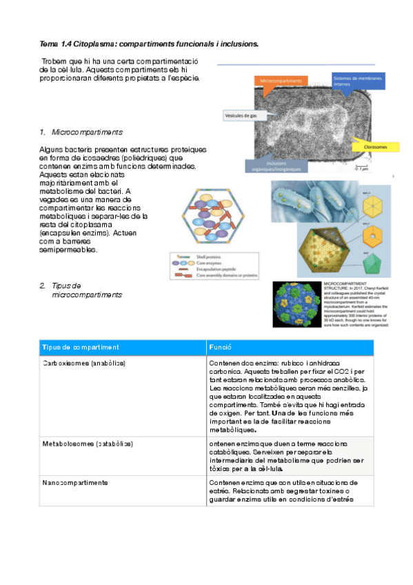 Miniatura del documento tema-1.pdf