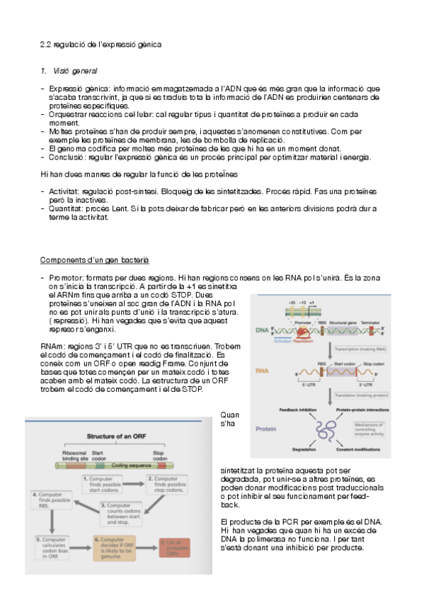 Miniatura del documento MIC-t-2.pdf