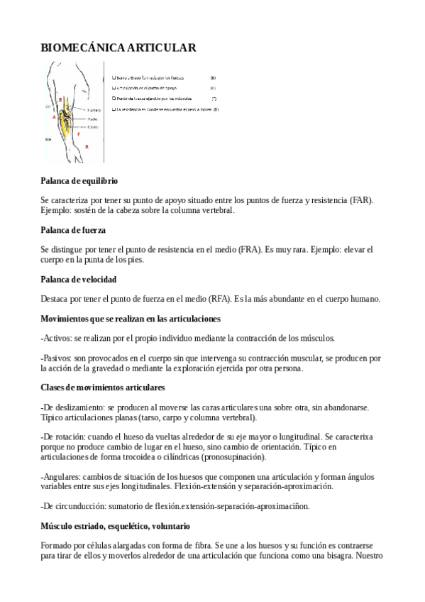 Miniatura del documento biomecanicarticular.pdf