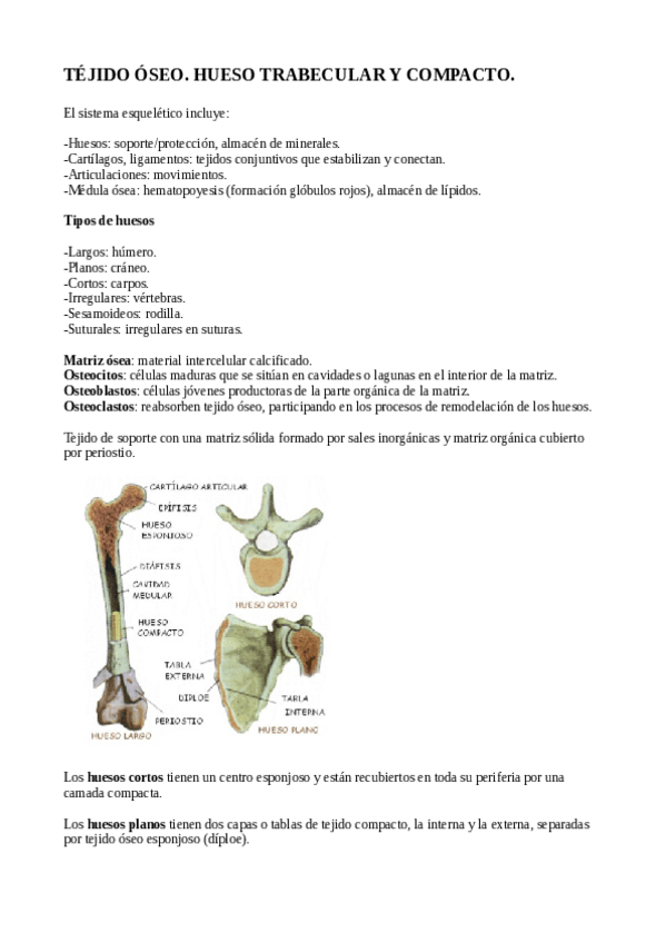 Miniatura del documento tejidoseo.pdf