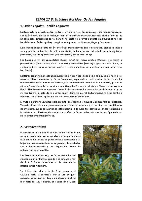 Miniatura del documento 17.pdf