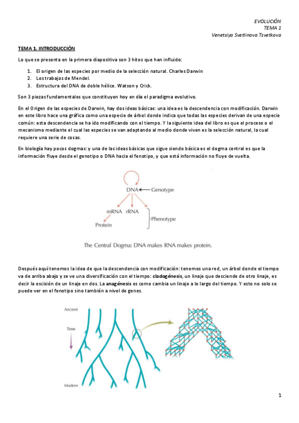 Miniatura del documento EVO-1.pdf