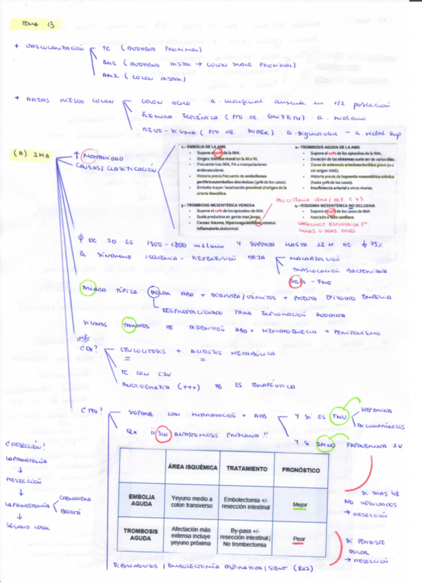Miniatura del documento T13.pdf