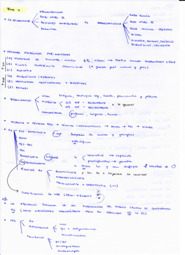 Miniatura del documento T4.pdf