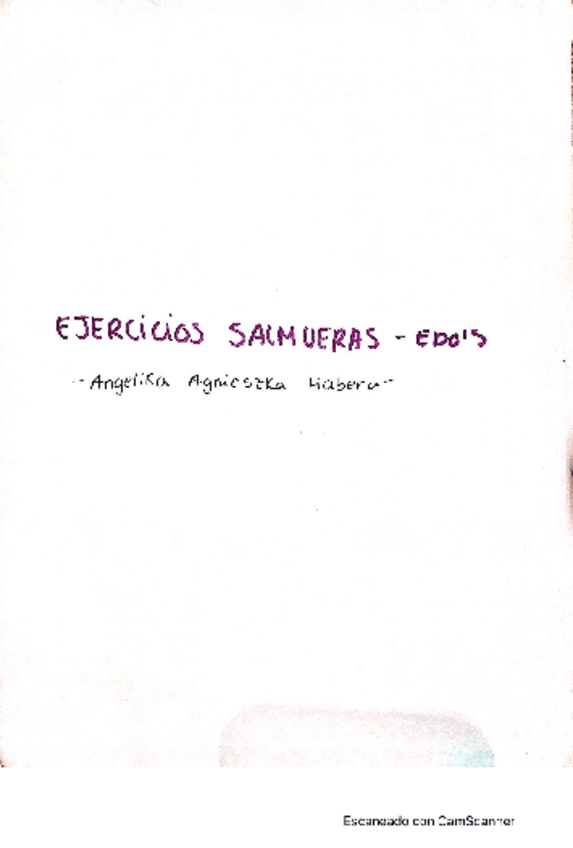 Miniatura del documento salmueras-edos.pdf