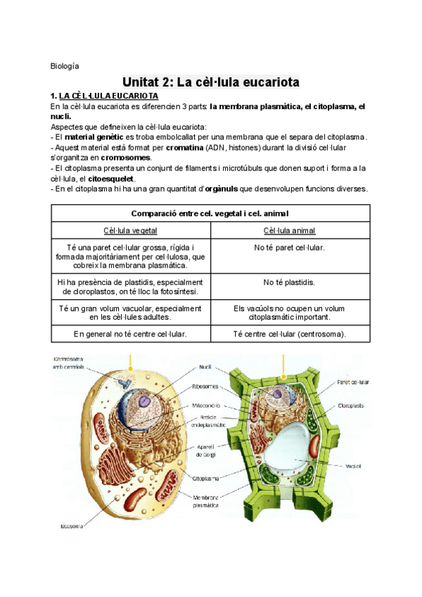 Miniatura del documento Unitat-2-La-cellula-eucariota.pdf