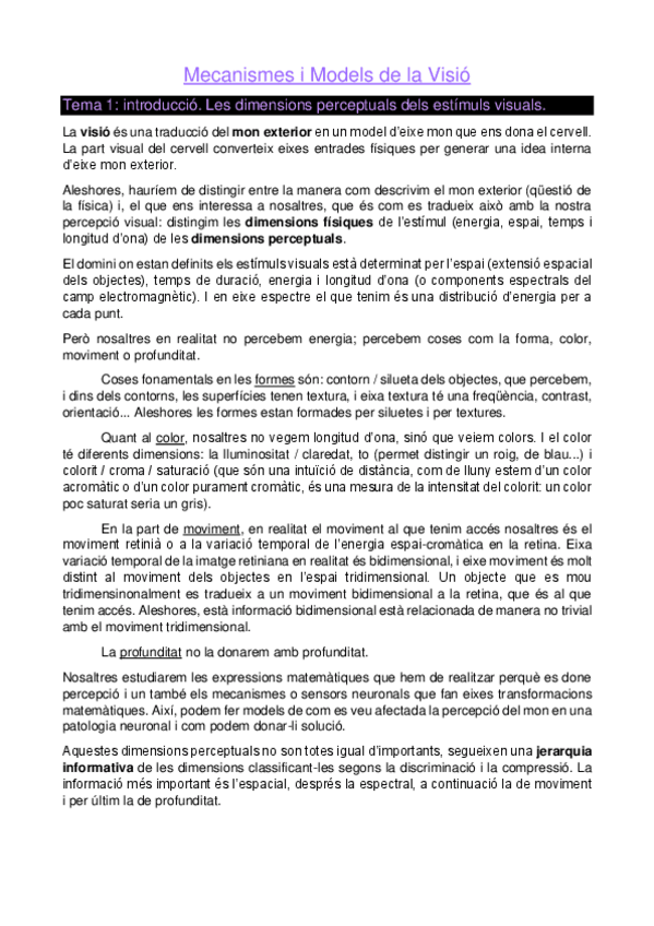 Miniatura del documento Mecanismes-i-Models-de-la-Visio.pdf