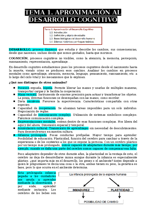 Miniatura del documento Desarrollo-cognitivo.docx