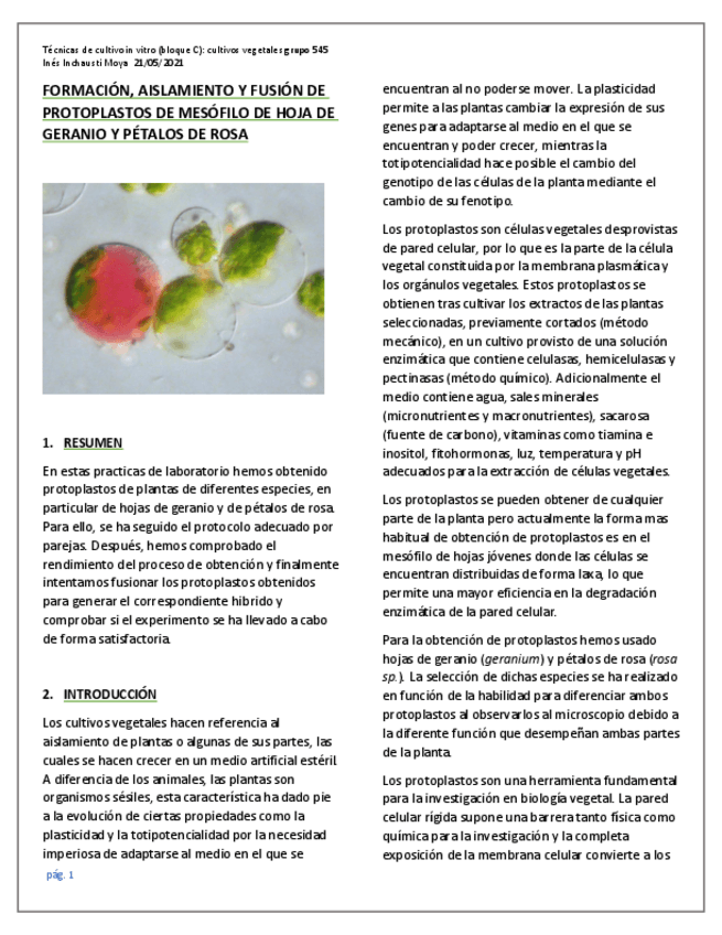 Miniatura del documento BLOQUE-C.pdf