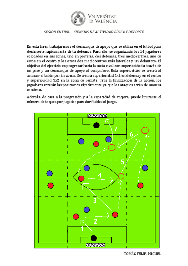 Miniatura del documento Ficha-desmarque-.pdf