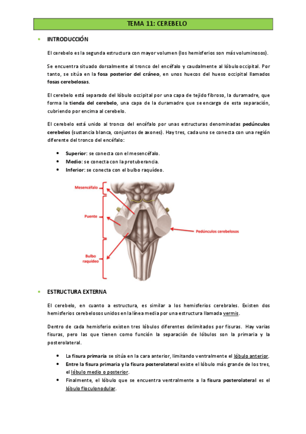 Miniatura del documento TEMA-11.pdf