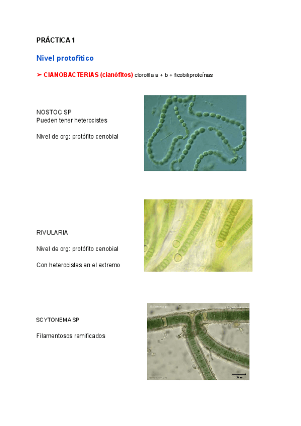 Miniatura del documento APUNTES-PARA-APROBAR-PRACTICAScompressed-1.pdf