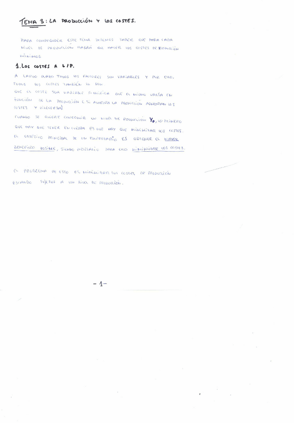Miniatura del documento Tema 3- La producción y los costes..PDF