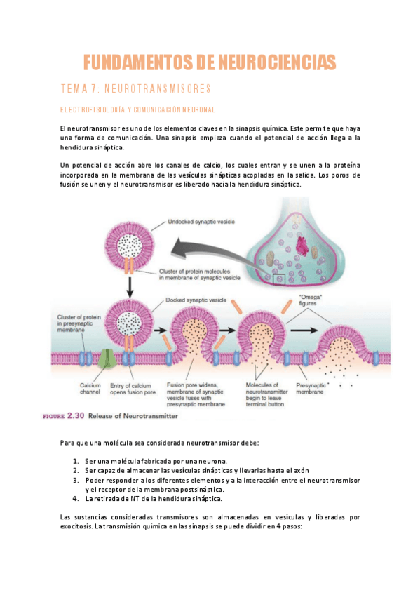 Miniatura del documento NEUROCIENCIAST7Neurotransmisores.pdf