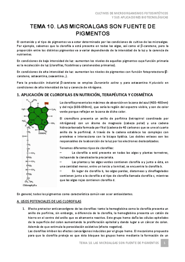 Miniatura del documento Tema-10-Cultivos-de-microorganismos-2021.pdf