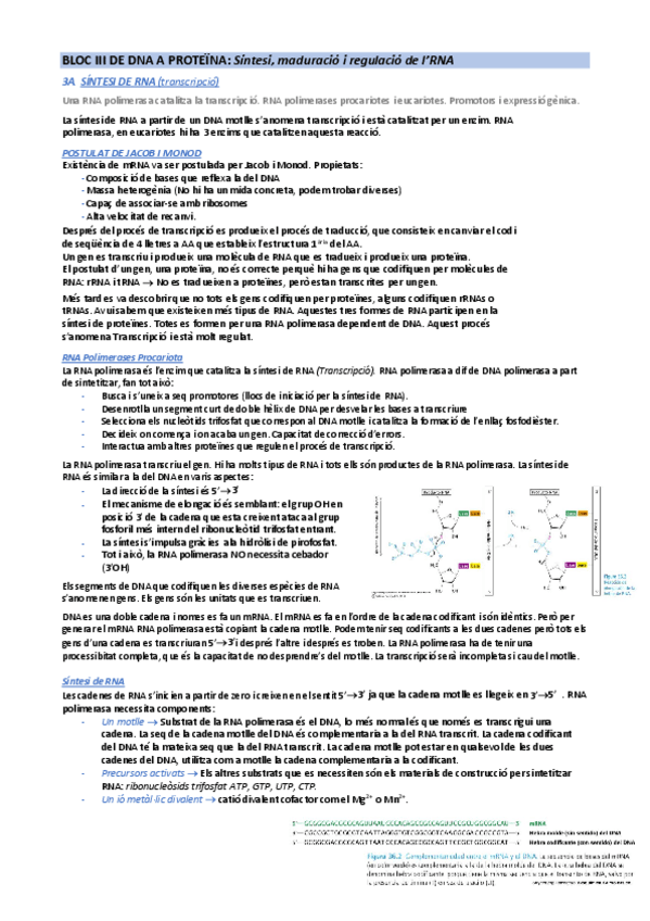 Miniatura del documento BLOC-III-.pdf