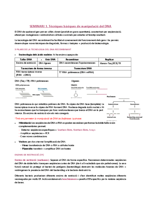 Miniatura del documento SEMINARIS-BIO-MOLECULAR.pdf