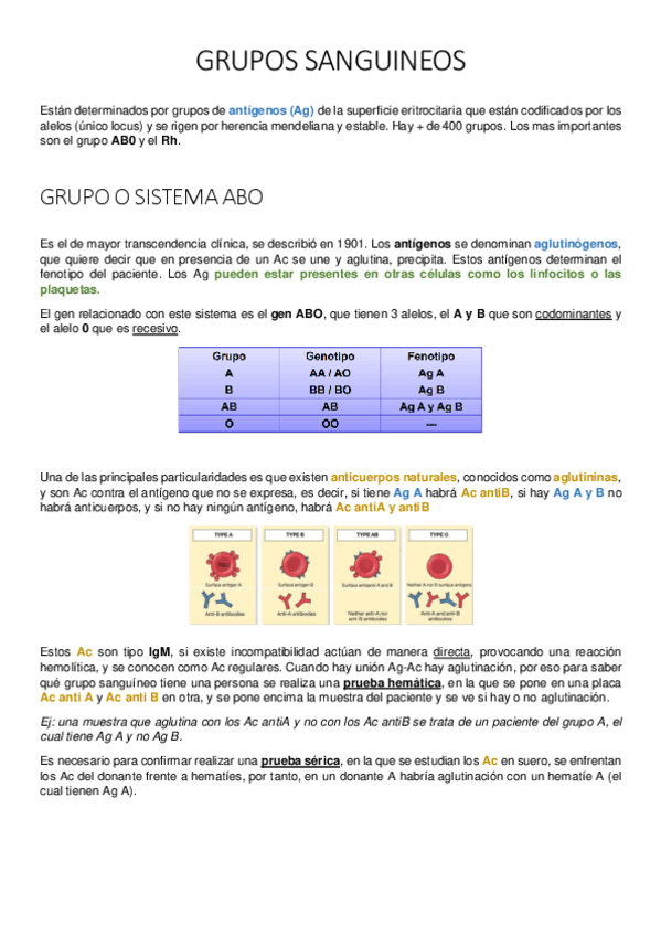 Miniatura del documento GRUPOS-SANGUINEOS.pdf