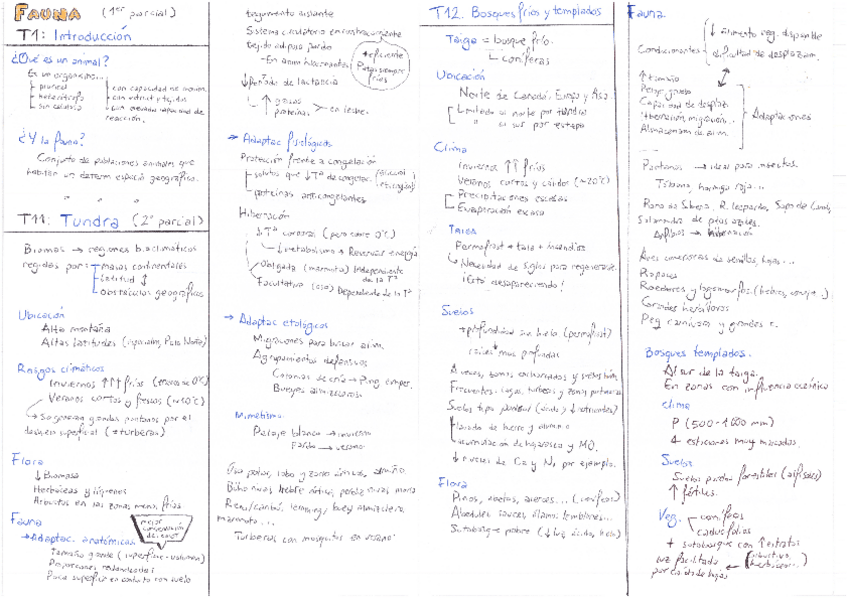 Miniatura del documento FAU-2Parcial.pdf