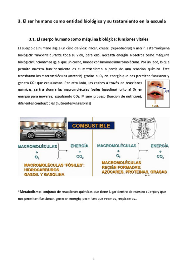 Miniatura del documento 3.pdf