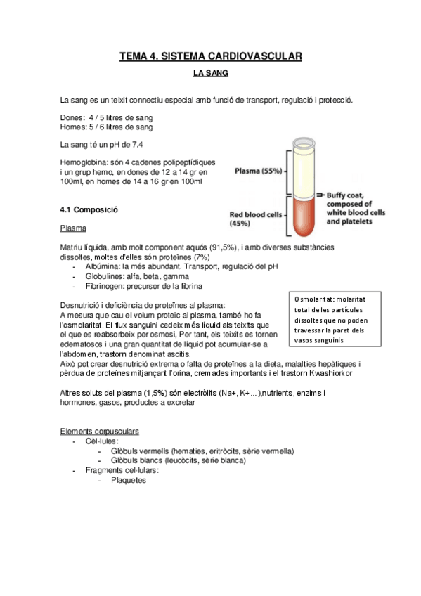 Miniatura del documento Sistema-cardiovascular-La-sang.pdf