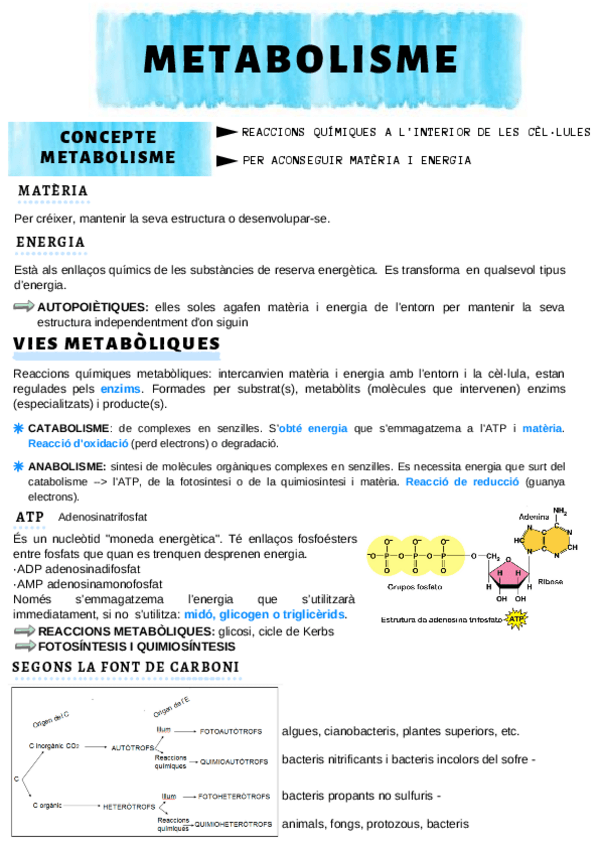 Miniatura del documento METABOLISME.pdf