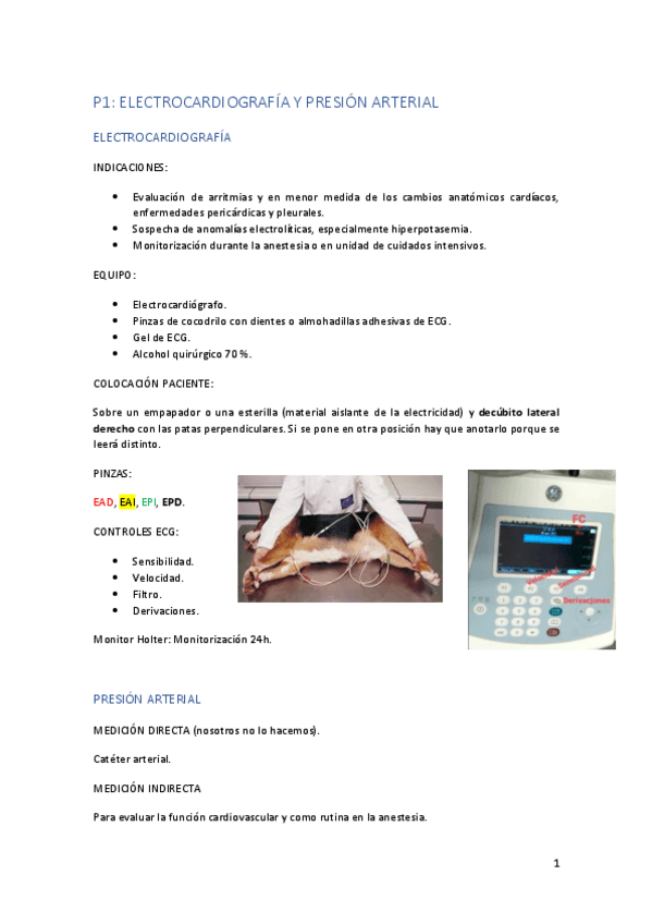 Miniatura del documento Practicas-Fisiopatologia-II-Resumen.pdf