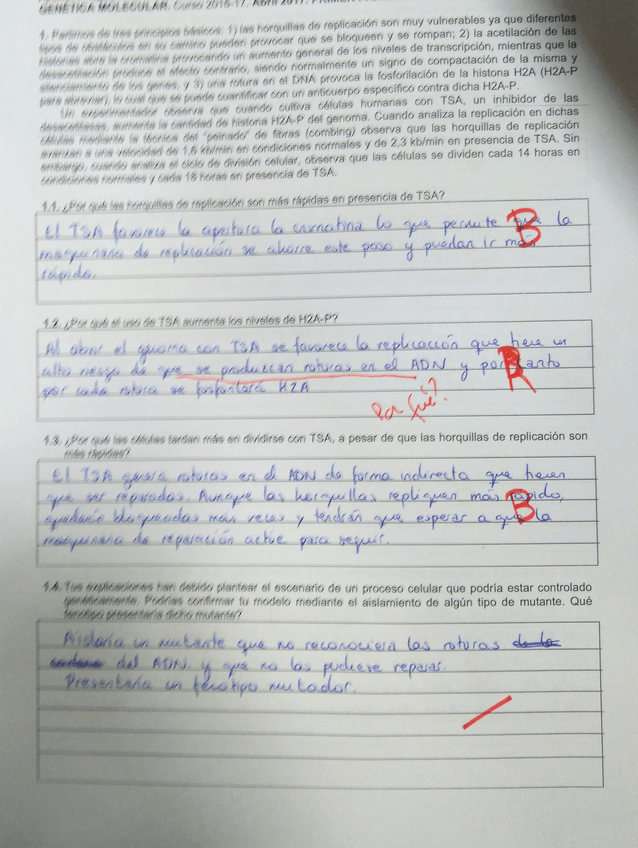 Miniatura del documento 1.jpg