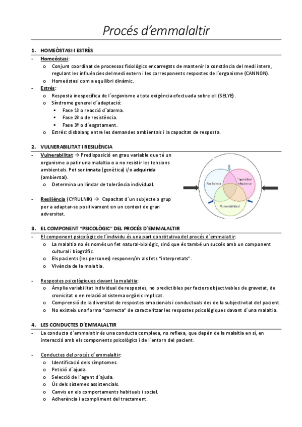 Miniatura del documento 10-Proces-demmalaltir.pdf