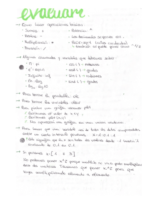 Miniatura del documento apuntes-evaluammatlab.pdf