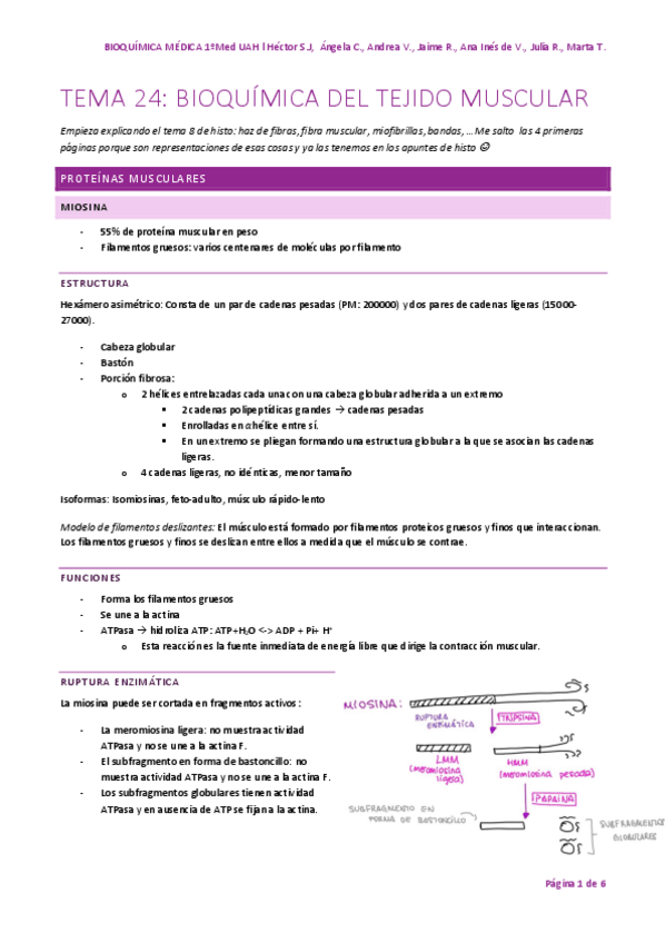 Miniatura del documento TEMA-24.pdf