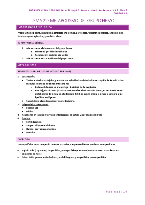 Miniatura del documento 22-GRUPO-HEMO.pdf