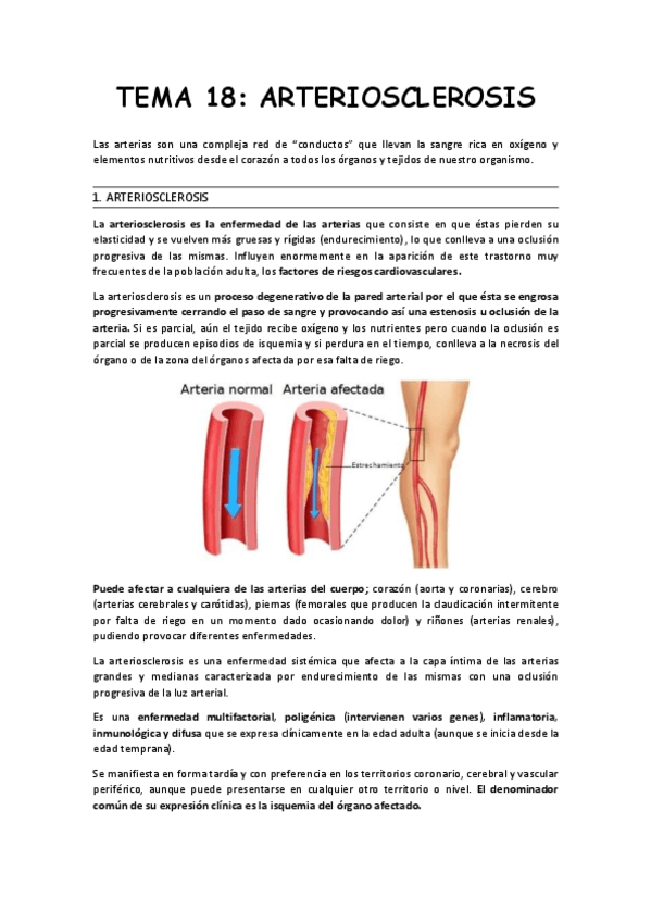 Miniatura del documento Resumen-tema-18.pdf