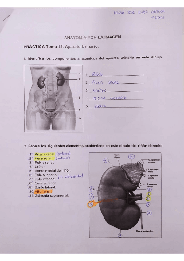 Miniatura del documento Act.pdf