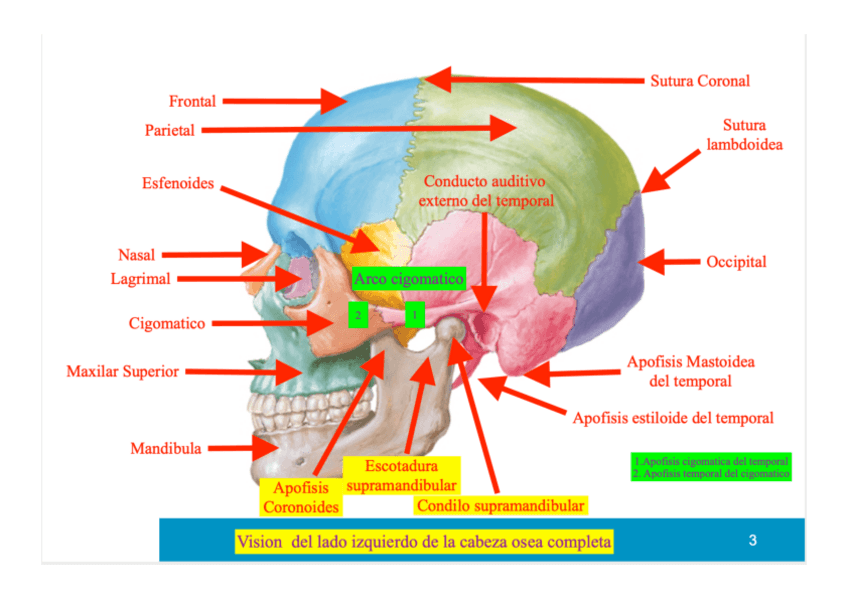 Miniatura del documento Laminas2ndoParcial.pdf