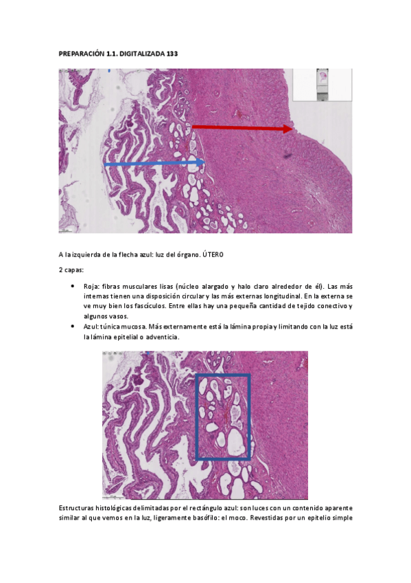 Miniatura del documento PRACTICA-1.pdf