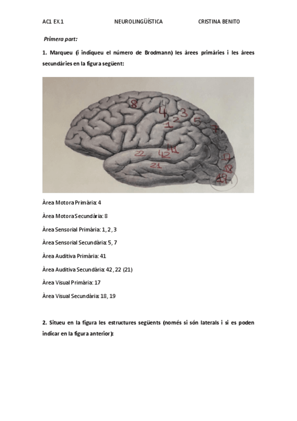 Miniatura del documento CRISTINA BENITO AC1 EX.1 .pdf