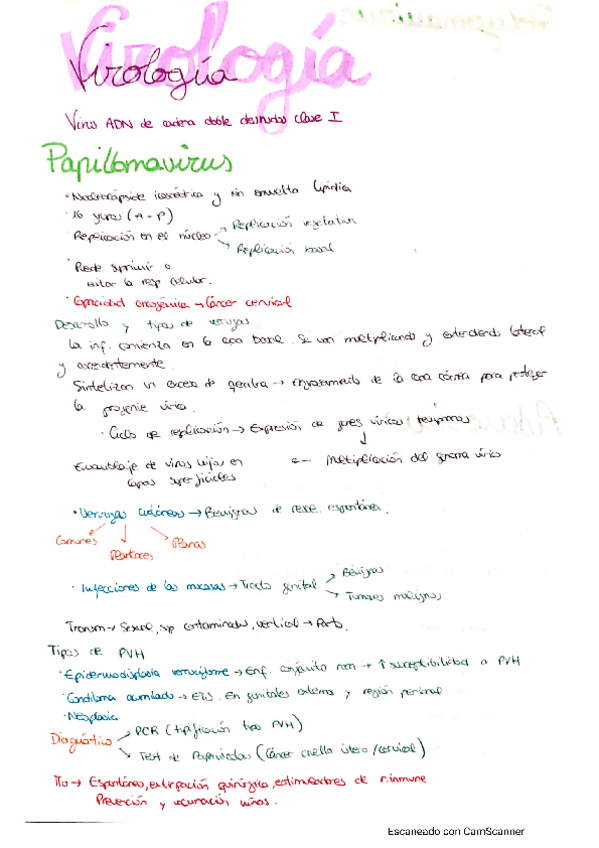 Miniatura del documento CamScanner-05-19-2021-10.pdf