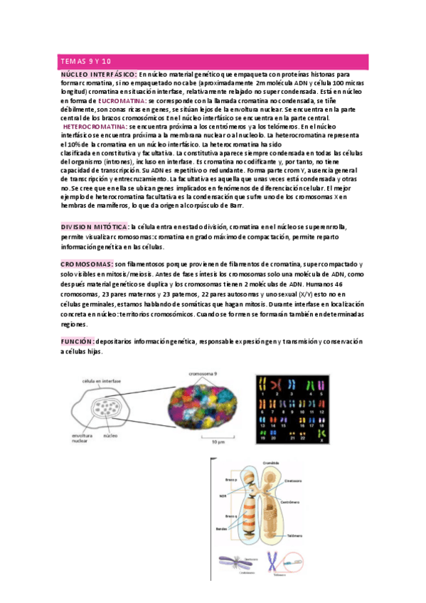 Miniatura del documento temario-citogenetica.pdf