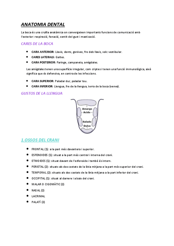 Miniatura del documento ANATOMIA-DENTAL.pdf
