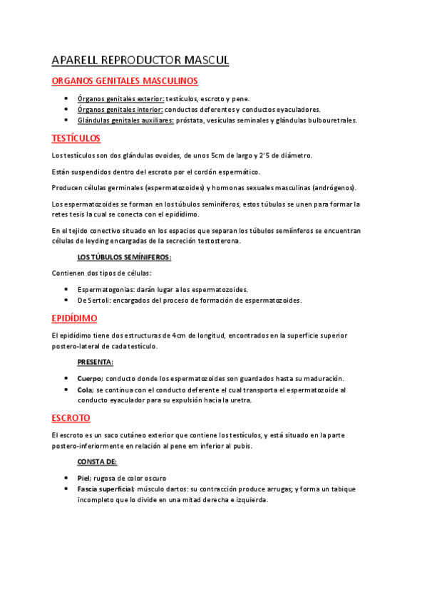 Miniatura del documento APARATO-REPRODUCTOR-MASCULINO.pdf