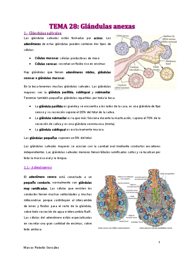 Miniatura del documento TEMA-28.pdf