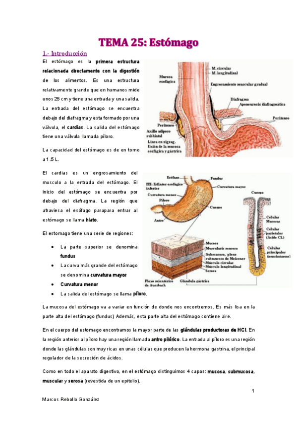 Miniatura del documento TEMA-25.pdf