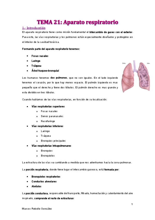 Miniatura del documento TEMA-21.pdf