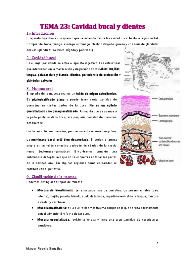 Miniatura del documento TEMA-23.pdf