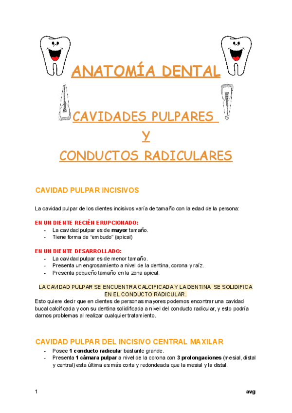 Miniatura del documento CAVIDAD-PULPAR-ANATOMIA-DENTAL.pdf